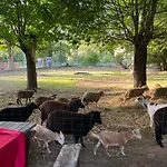 Penzion Berolina 3*
